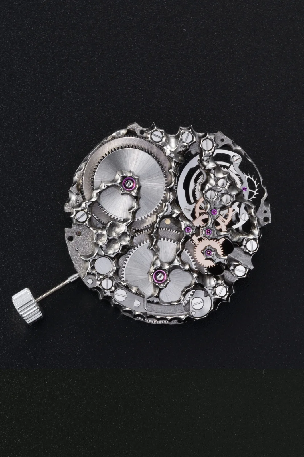 Platinum Organic Tourbillon, view 5